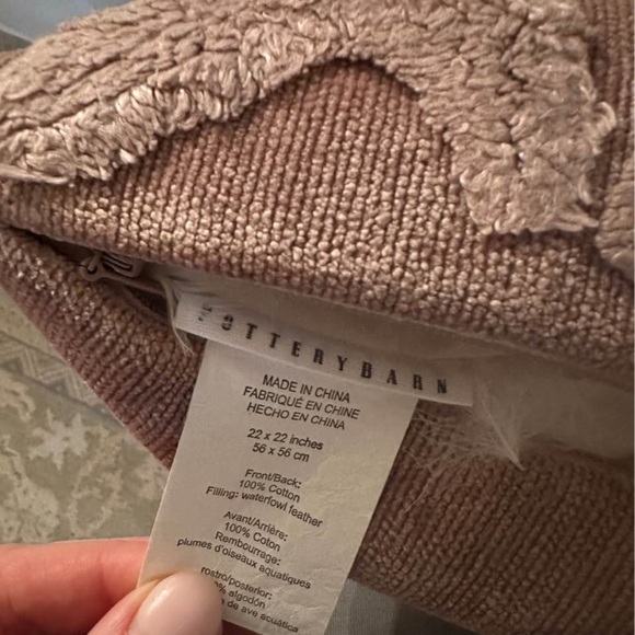 Pair of Pottery Barn throw pillows - Picture 3 of 3